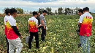 将青春写在祖国大地|山东科技职业学院志愿服务团队走进阿勒泰