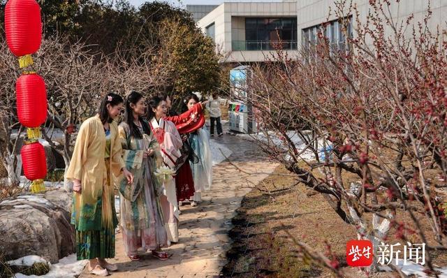 第十届徐州龟山探梅园梅花节隆重开幕