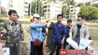广西医科大学“幸福鱼”捕捞成功
