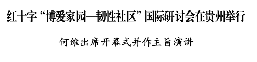 红十字“博爱家园—韧性社区”国际研讨会在贵州举行 何维出席开幕式并作主旨演讲