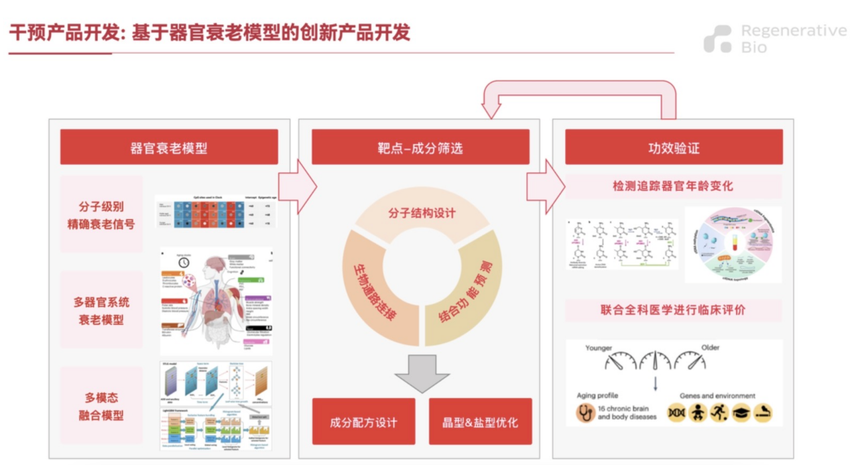 中国首个长寿健康队列启动，Regenerative Bio引领中国抗衰走向世界